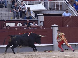Quiebro banderillas cortas de Juan manuel Sánchez